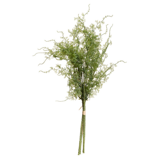 Asparagus Fern Bunch - BleakToSheek