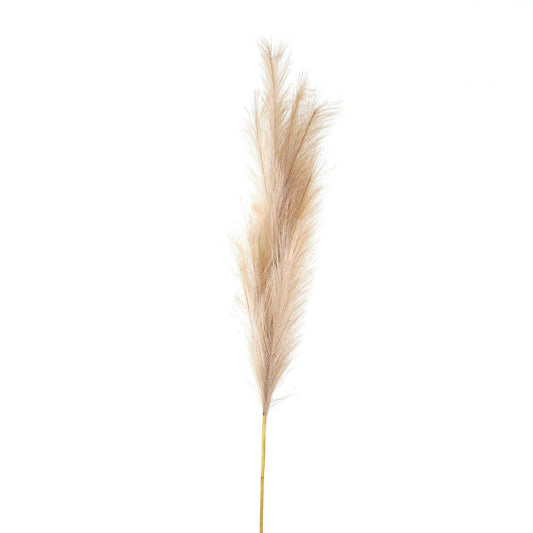 Bleached Large Faux Pampas Grass Stem - BleakToSheek