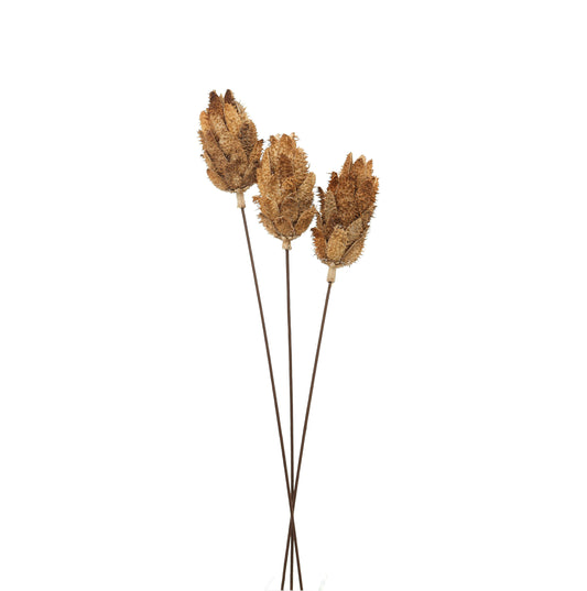 Bouquet Of Dried Protea - BleakToSheek