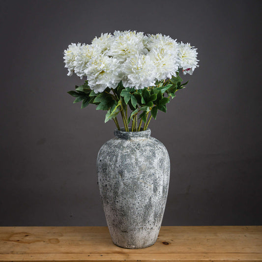 Classic White Peony - BleakToSheek