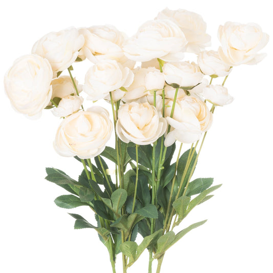 Cream Ranunculus - BleakToSheek