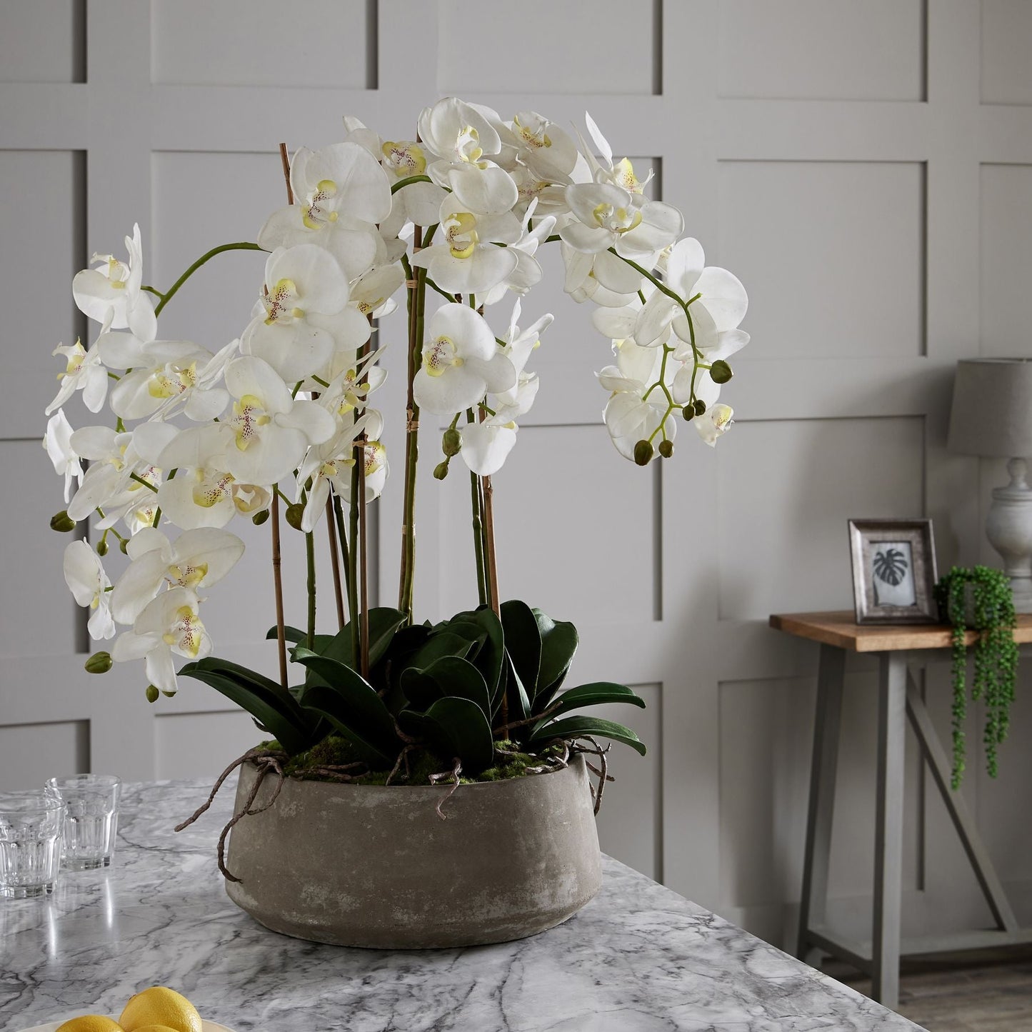 Large White Orchid In Stone Pot - BleakToSheek