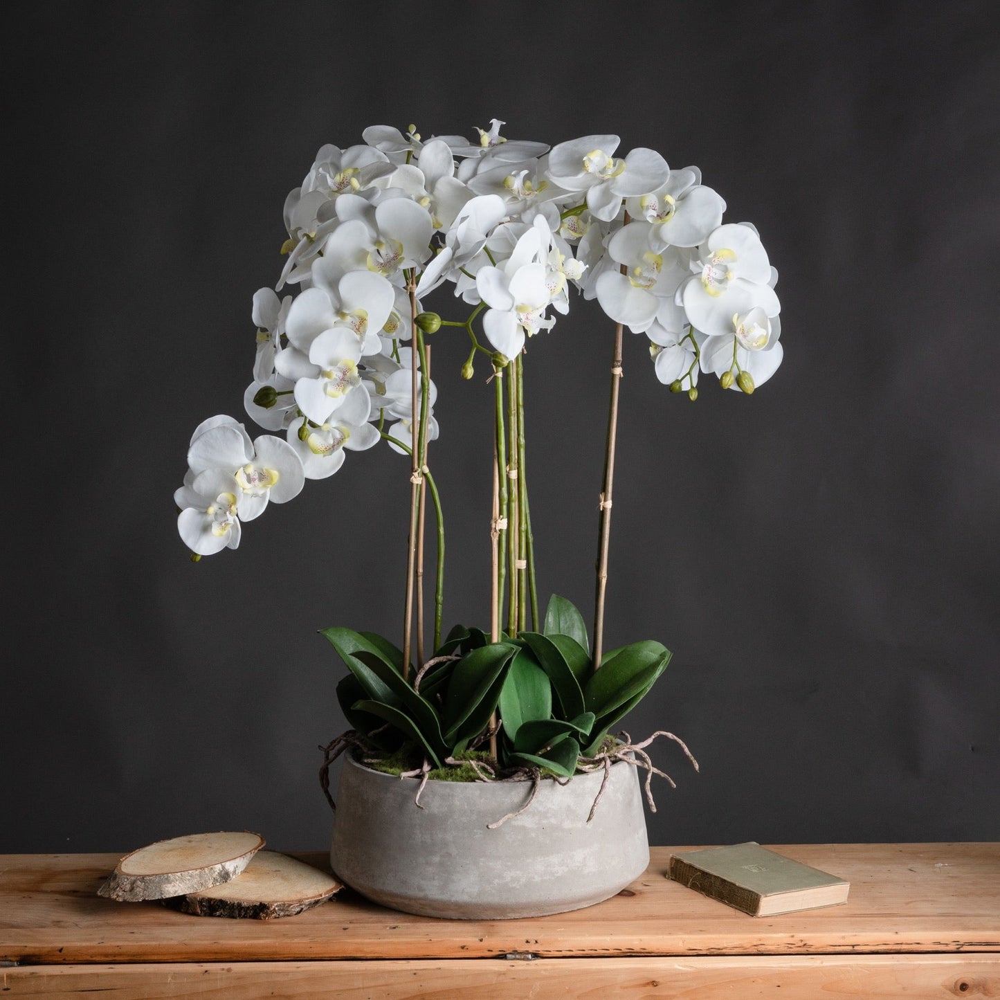 Large White Orchid In Stone Pot - BleakToSheek