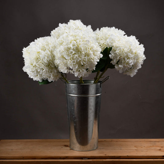 Oversized White Hydrangea - BleakToSheek